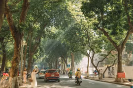 Việt Nam trong danh sách điểm đến mùa thu đẹp nhất thế giới
