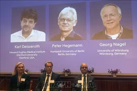 Nobel 2026: Khi khoa học viễn tưởng cạnh tranh cùng những bí ẩn vũ trụ