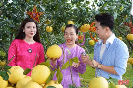 Hà Tĩnh đưa đặc sản quê hương lên sóng Mega Live