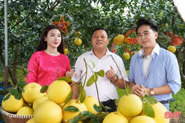Khi lãnh đạo và người dân Hà Tĩnh chung tay xây dựng "Địa phương số"