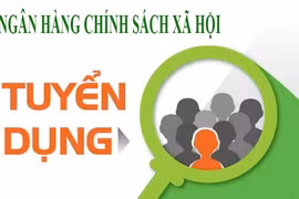 Ngân hàng Chính sách xã hội Hà Tĩnh tuyển dụng lao động