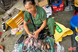 Lại “nóng” săn bắt, tiêu thụ chim trời