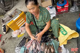 Lại “nóng” săn bắt, tiêu thụ chim trời