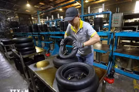 Việt Nam được dự báo dẫn đầu tăng trưởng trong 6 nền kinh tế lớn Đông Nam Á