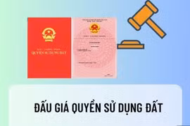 Xã Tiên Điền tổ chức đấu giá quyền sử dụng 9 lô đất 