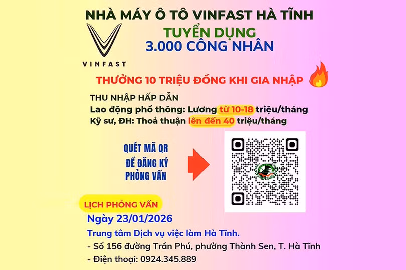 dt-vin-8e119244fb2b3a.jpg