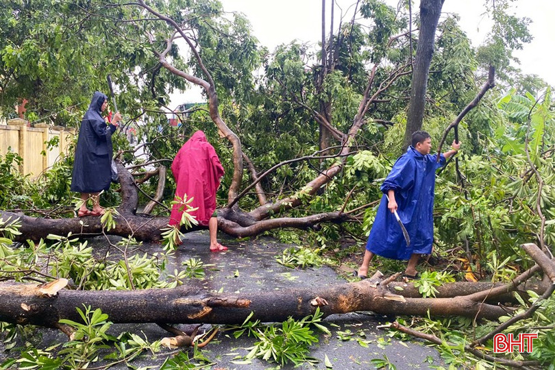 Công an phường Nam Hồng Lĩnh thu dọn cây đổ tại đường Lê Duẩn.