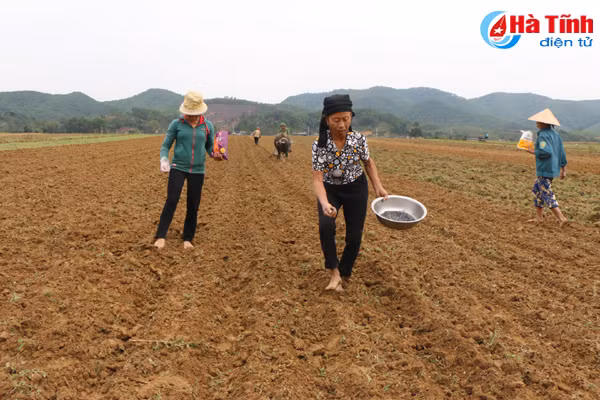 ho tro giong vu dong tren thong duoi vuong