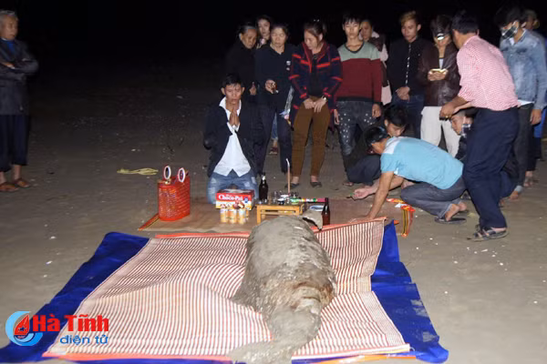 phat hien xac ca khung dat vao bo bien ngu dan lam le chon cat