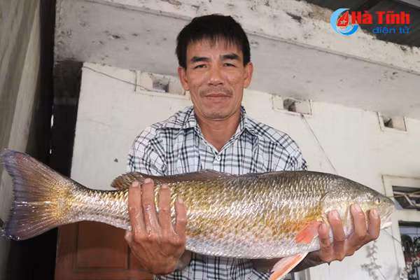 video can thu ha tinh trung ca su vang ke ve chuyen cau may man