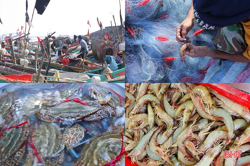 bqbht_br_z6201157510732-ee872df944cdbee27bedeb2f978dbaa1.jpg