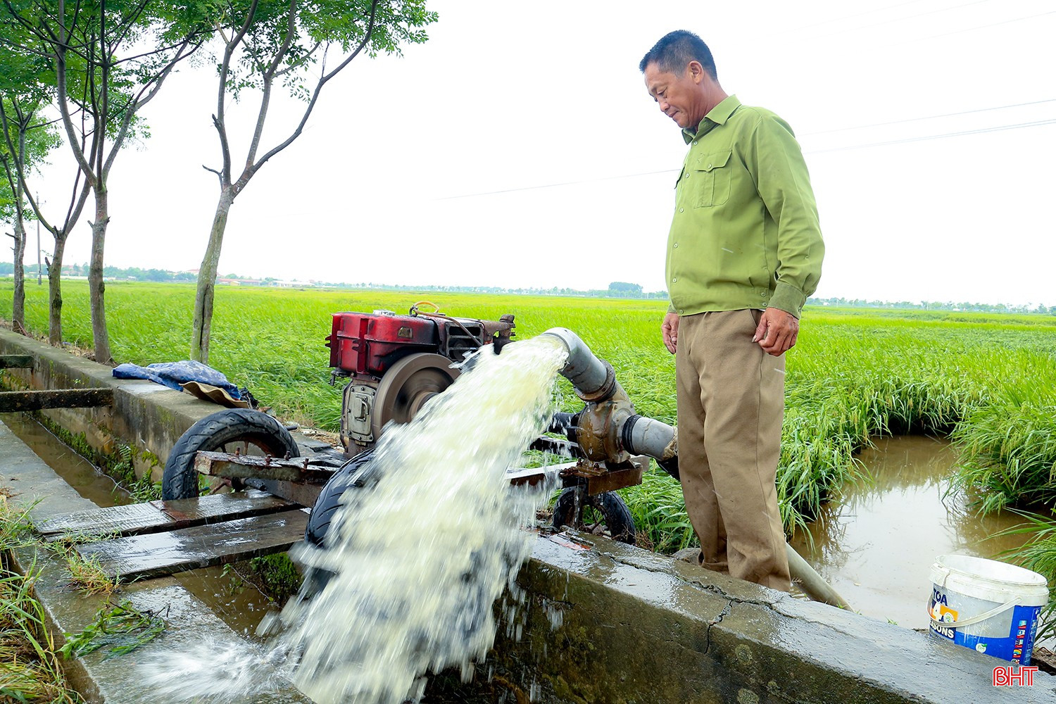Ông Kiểu phải dùng máy cỡ lớn bơm cả ngày lẫn đêm để nhanh chóng rút nước ra khỏi chân ruộng để "gỡ được phần nào hay phần đó".