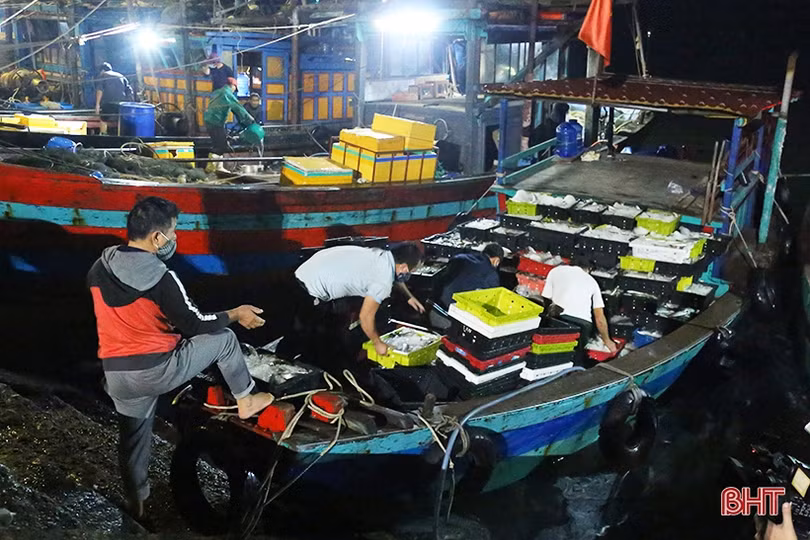 Những chuyến tàu cuối năm cập cảng Cửa Sót đầy ắp hải sản