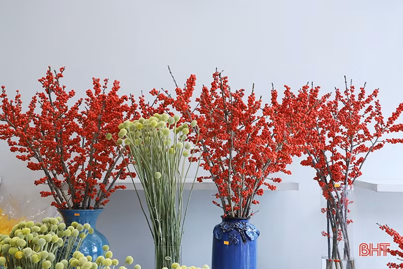 Muôn kiểu hoa lạ “đổ bộ” thị trường Hà Tĩnh