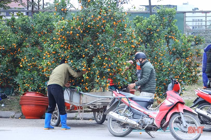 Nghề “chở tết về nhà” tại Hà Tĩnh kiếm tiền triệu mỗi ngày