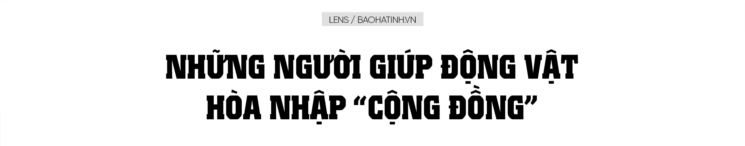 Những người giúp động vật hòa nhập với thiên nhiên ở Hà Tĩnh