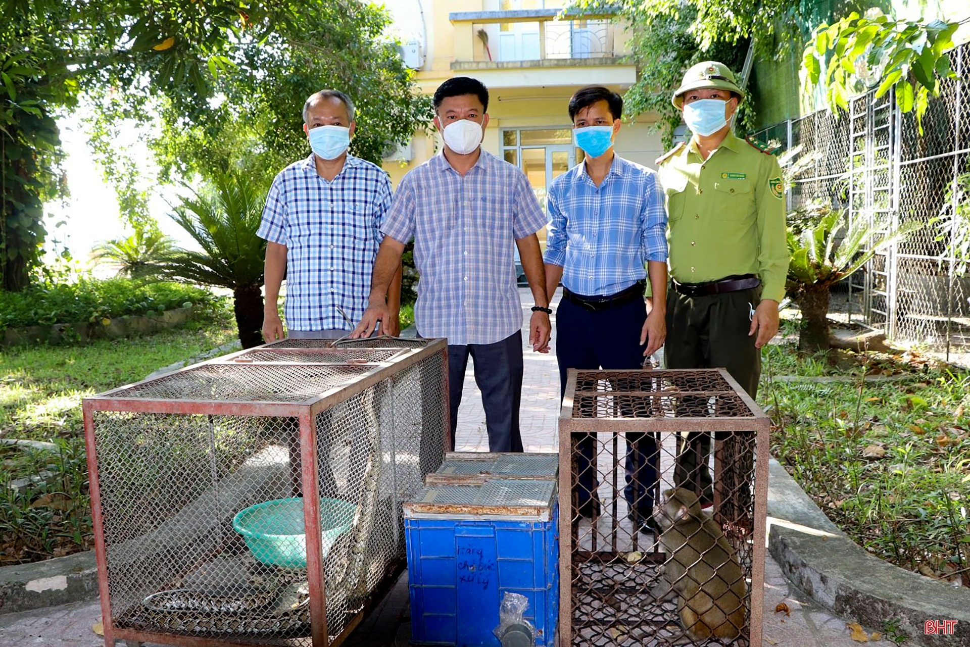 Những người giúp động vật hòa nhập với thiên nhiên ở Hà Tĩnh