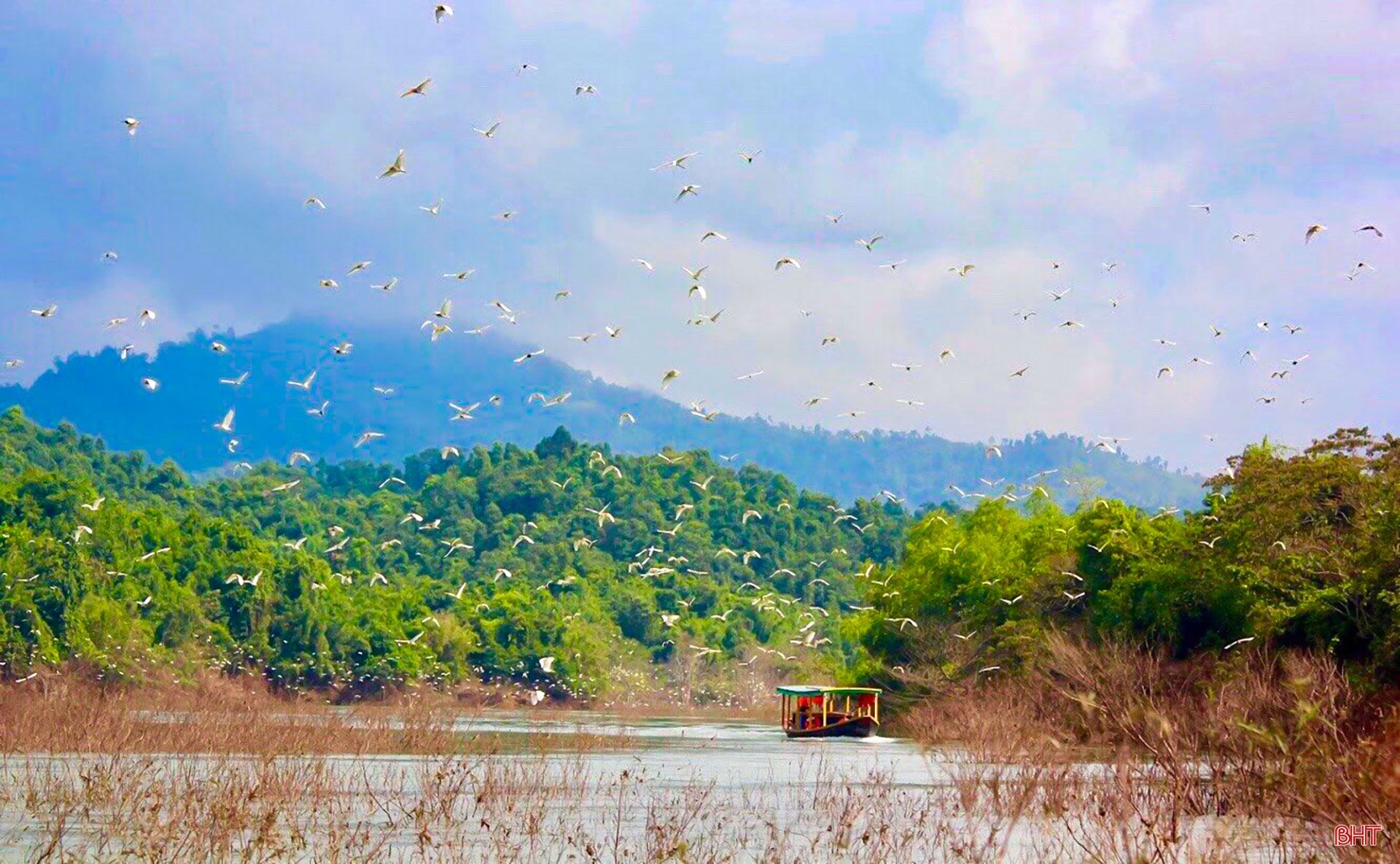 Những người giúp động vật hòa nhập với thiên nhiên ở Hà Tĩnh