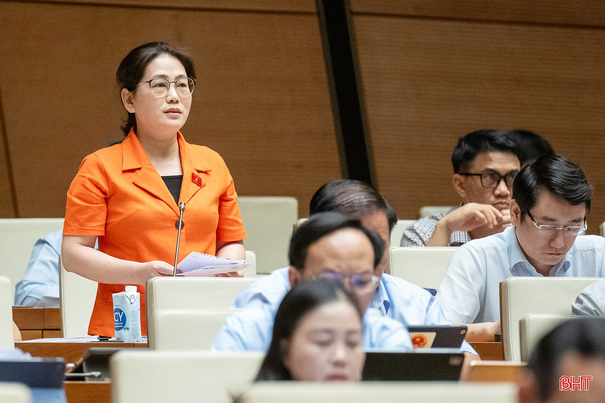 Đại biểu Phan Thị Nguyệt Thu phát biểu thảo luận.