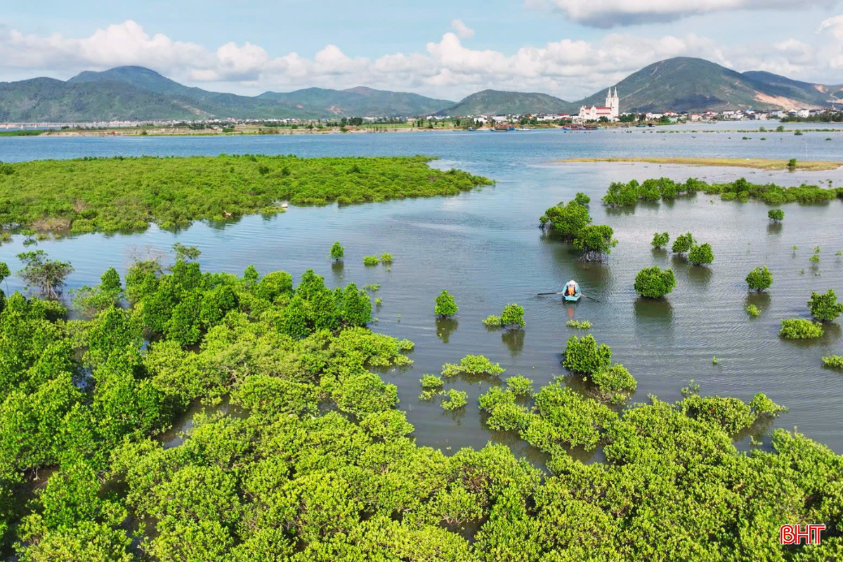bqbht_br_thiet-ke-chua-co-ten-22.png