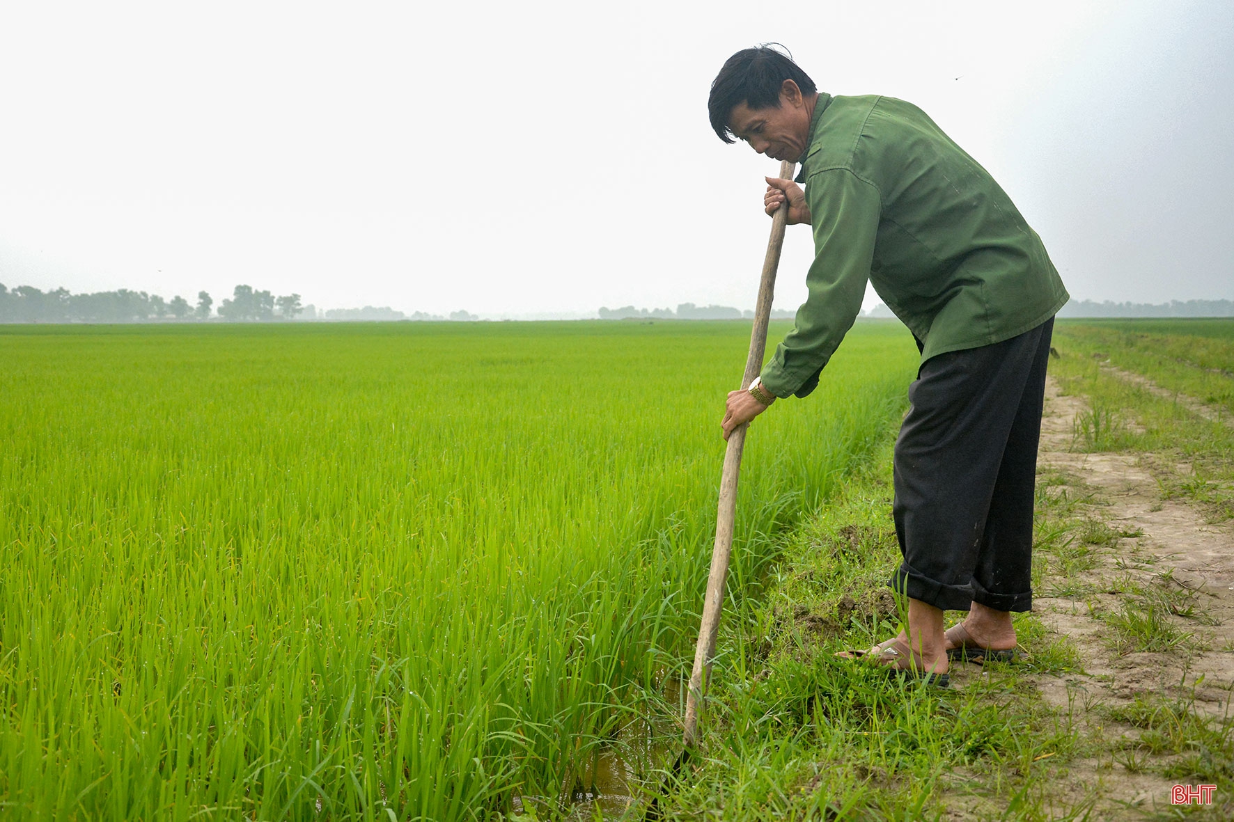 “Làng tôi sẽ là làng lúa, làng hoa”