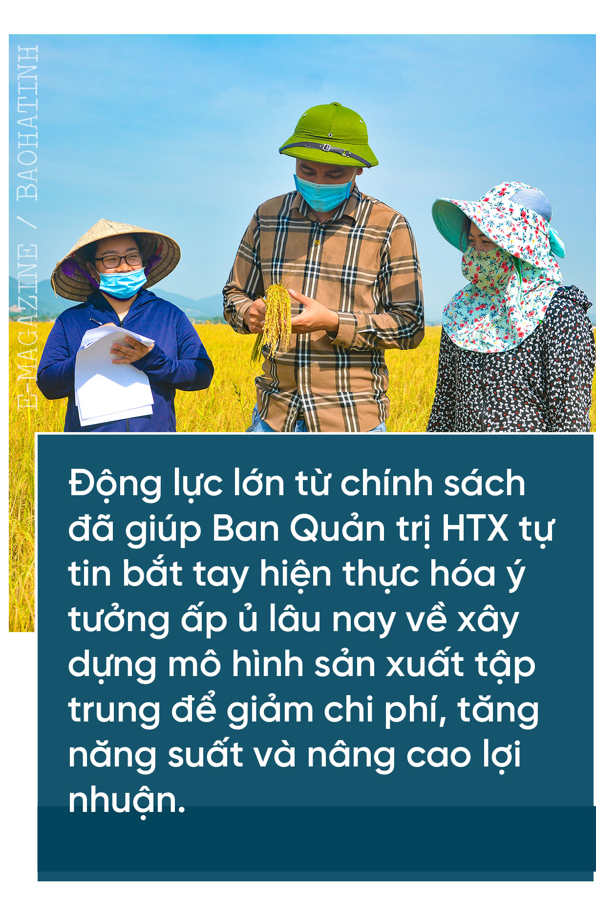 “Làng tôi sẽ là làng lúa, làng hoa” ảnh 11 “Làng tôi sẽ là làng lúa, làng hoa”