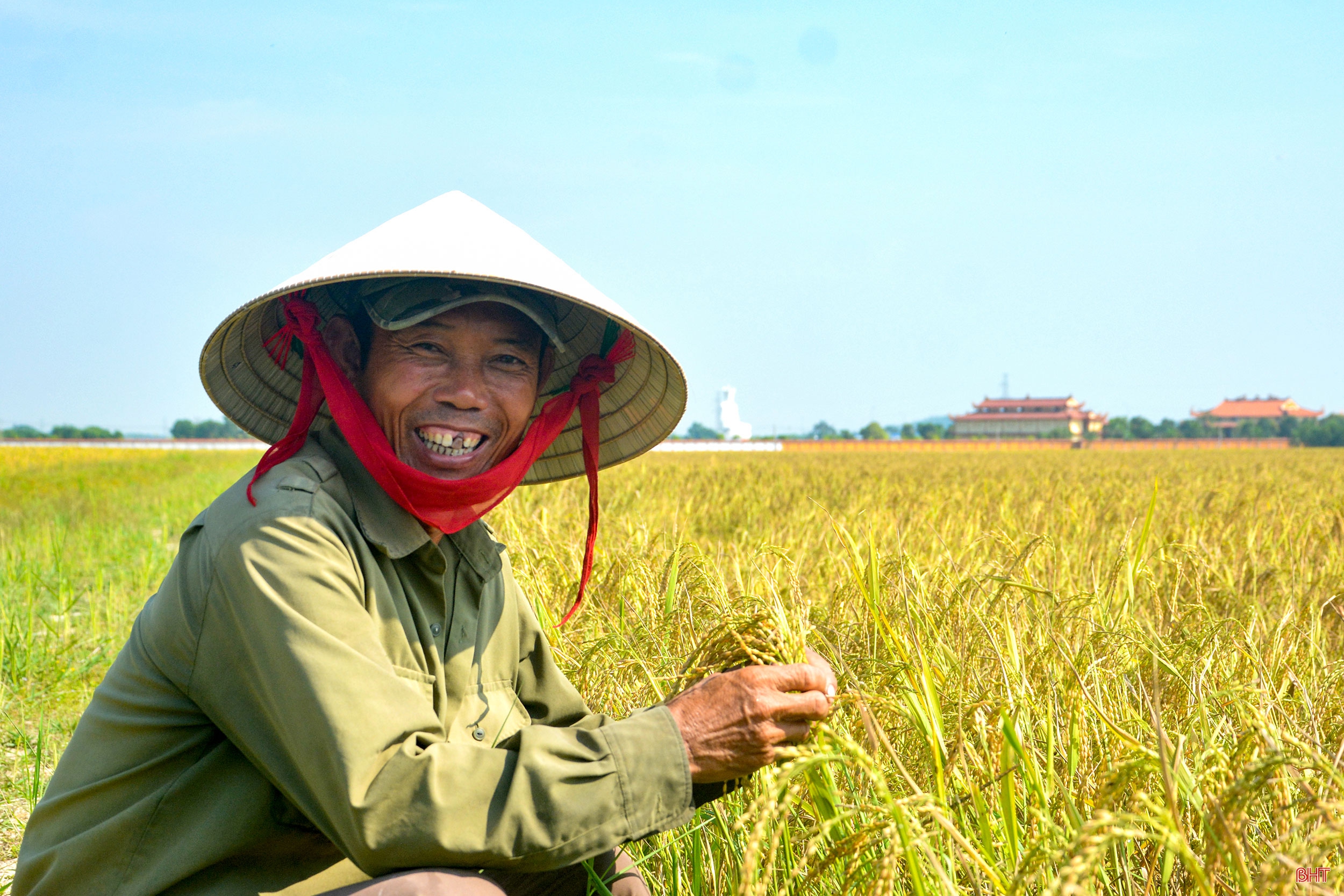 “Làng tôi sẽ là làng lúa, làng hoa”