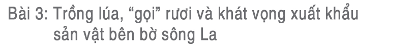 “Làng tôi sẽ là làng lúa, làng hoa” ảnh 25 “Làng tôi sẽ là làng lúa, làng hoa”