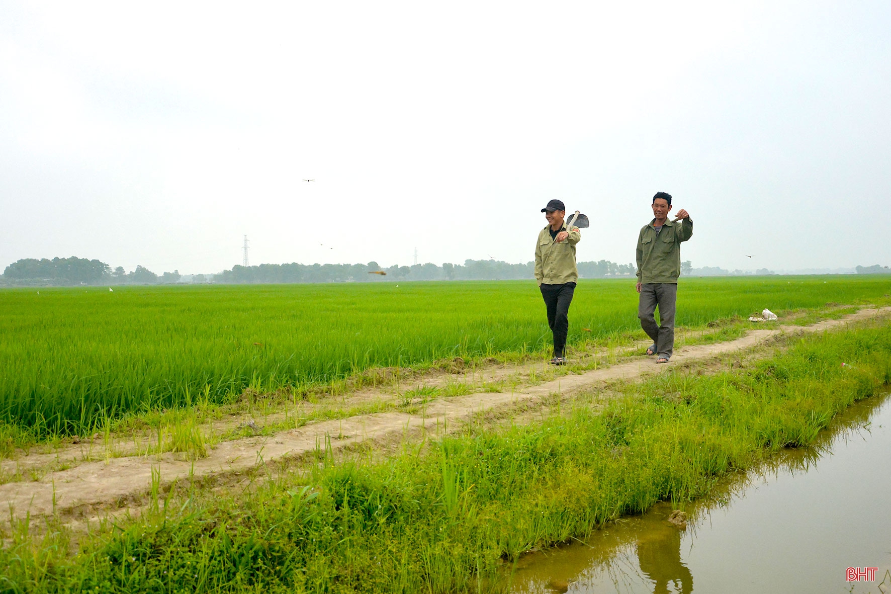 “Làng tôi sẽ là làng lúa, làng hoa”