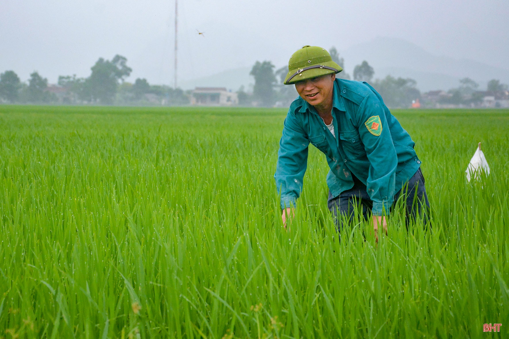 “Làng tôi sẽ là làng lúa, làng hoa”
