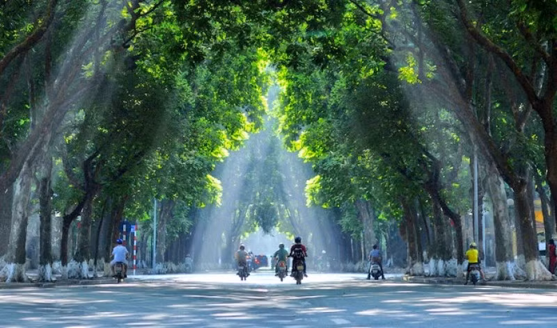 “Sang thu” - khúc giao mùa và giao thời