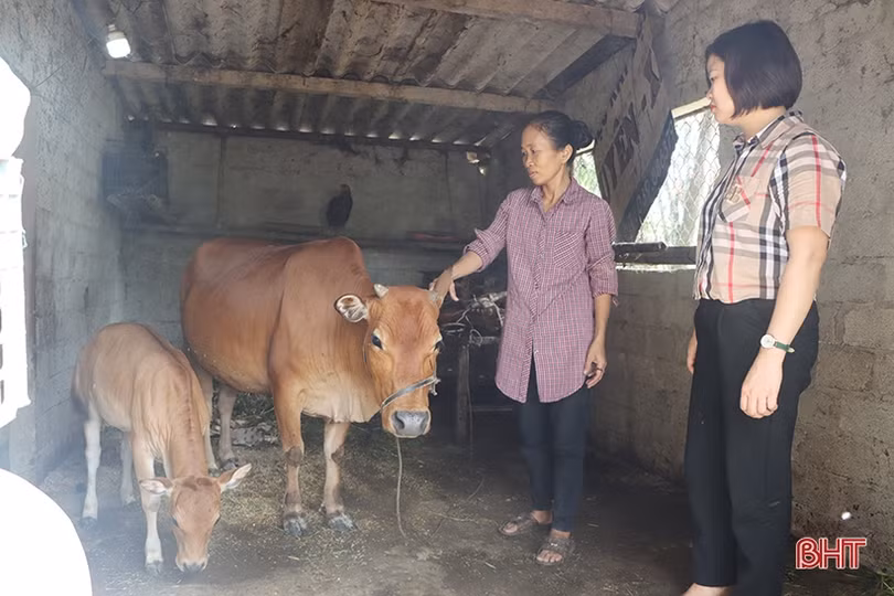Giảm nghèo ở Cẩm Xuyên: Trao “cần câu” thay xâu cá”