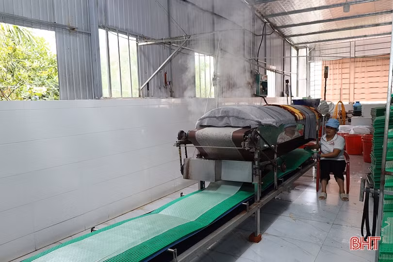 Bánh đa nem vùng ven đô vươn tầm OCOP