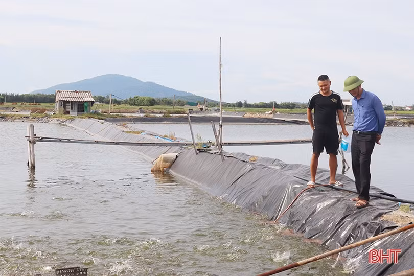 Triển vọng từ mô hình nuôi cá chim trắng vây vàng