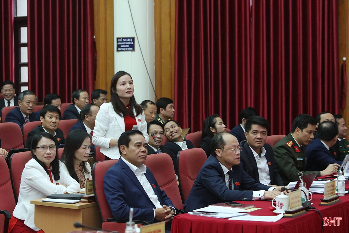 Giám đốc Sở NN&PTNT trả lời các vấn đề đại biểu, cử tri quan tâm