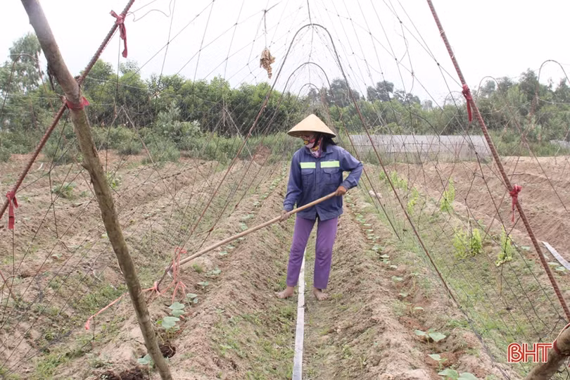 Người dân Hà Tĩnh nỗ lực duy trì lao động sản xuất 