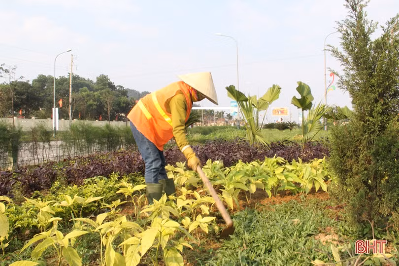 Người dân Hà Tĩnh nỗ lực duy trì lao động sản xuất 
