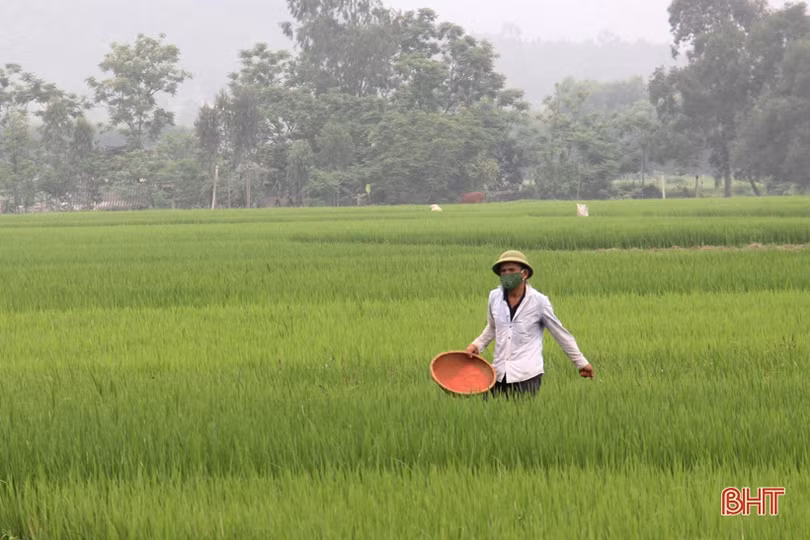 Người dân Hà Tĩnh nỗ lực duy trì lao động sản xuất 