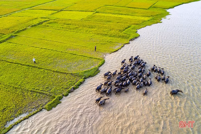 Đường đến vinh quang của các “tay máy” Hà Tĩnh