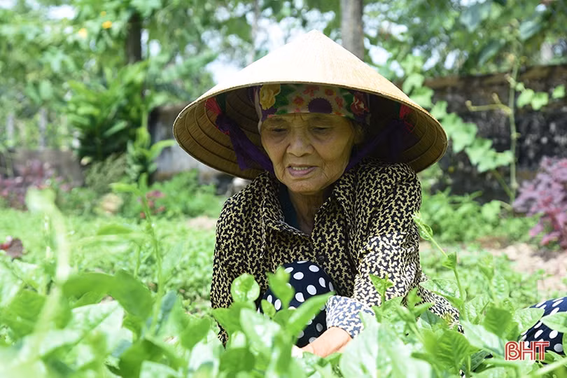 “Tự soi, tự sửa” để xây dựng tổ chức đảng, đảng viên phát triển vững mạnh