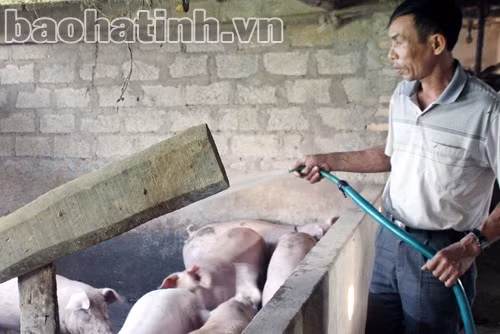 CCB Mai Khắc Hoa, người nông dân tâm huyết, say sưa làm kinh tế