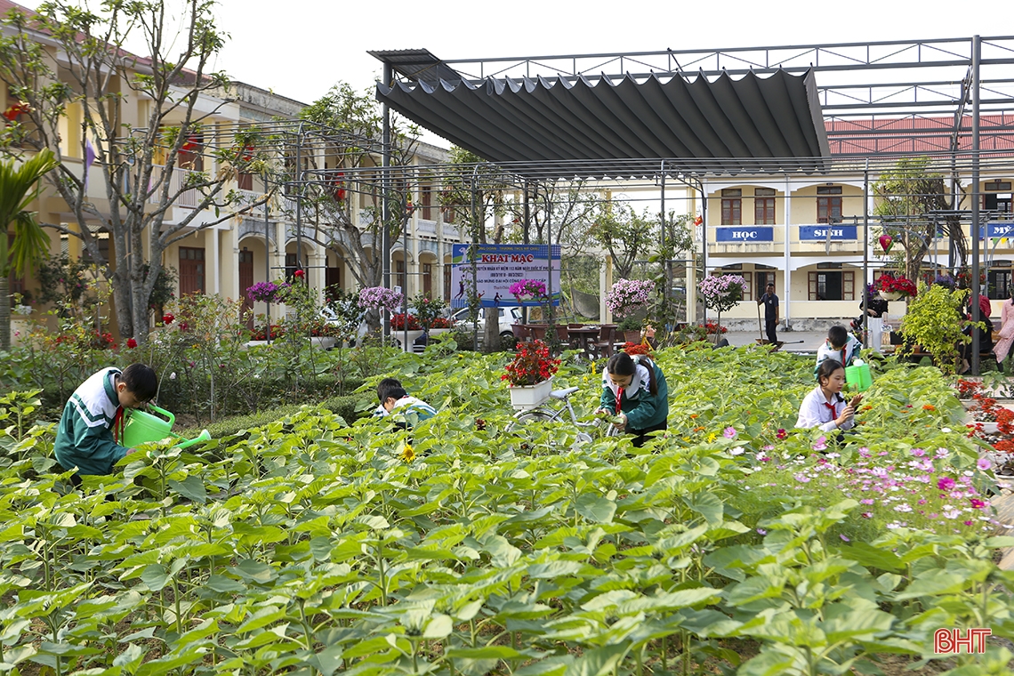 Mê mẩn ngôi trường làng ngập tràn sắc hoa ở Hà Tĩnh