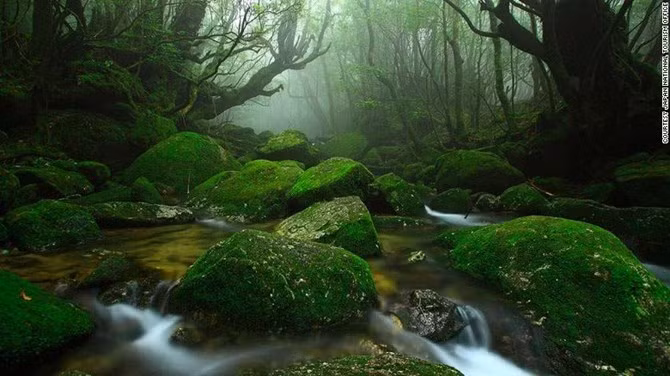 da lat lot top 9 diem den hap dan va bi an cua chau a