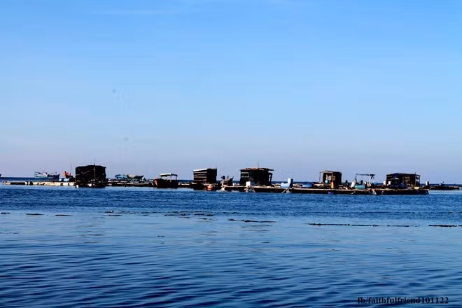 Chuyến đi sẽ kém phần thú vị nếu như không đi thuyền ra nhà bè để mua và thưởng thức hải sản tươi ngon. Bạn có thể chọn những hải sản mình thích và nhờ nhà bè chế biến, hoặc có thể mua về đất liền làm quà. canh dep lam say long nguoi o dao phu quy