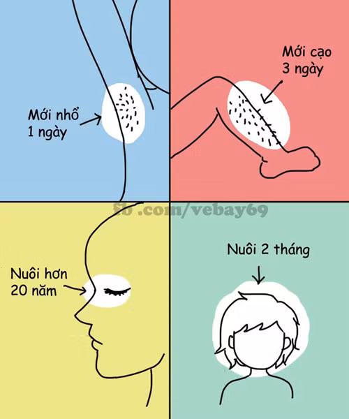 cuoi te ghe co xe tay ga khong ma doi tan gai