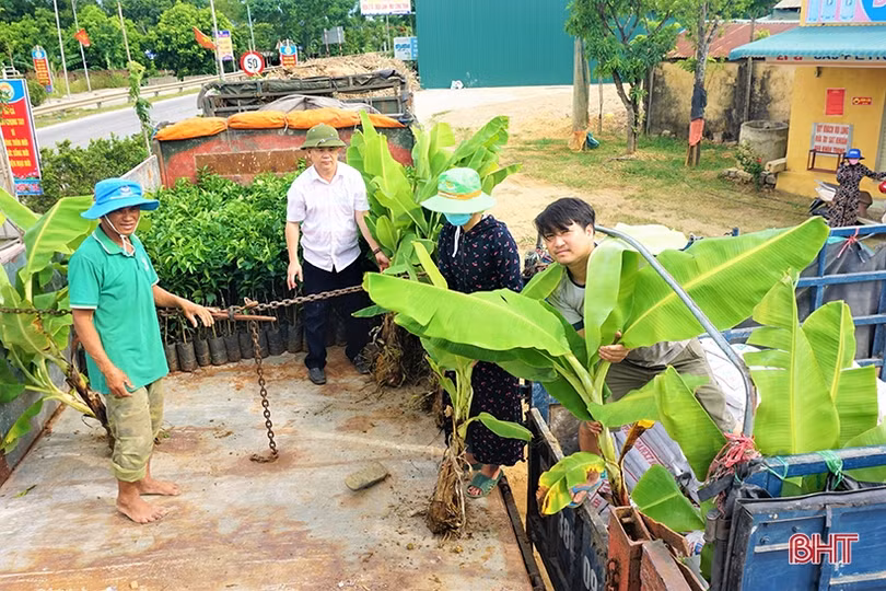 Chuyển giao kỹ thuật, giúp nông dân Lào trồng cam Khe Mây