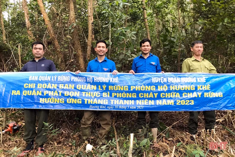 Canh rừng trong thời điểm nắng nóng