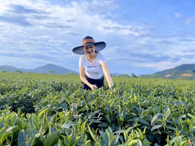 Một thôn của Hà Tĩnh được chọn thí điểm phát triển du lịch