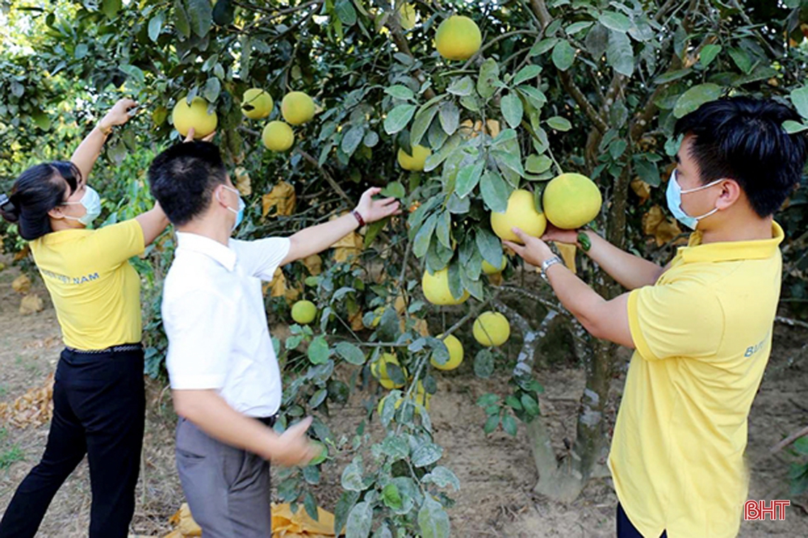 Tập trung cao nhất ứng phó với bão CONSON, đảm bảo an toàn tuyệt đối cho Nhân dân