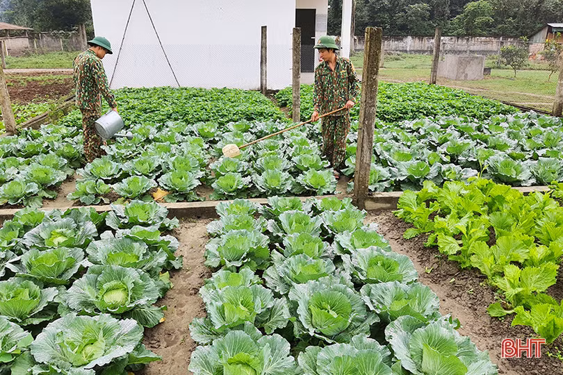Noi gương Bác, cán bộ, chiến sĩ Ðồn Biên phòng Hương Quang “học đi đôi với làm”